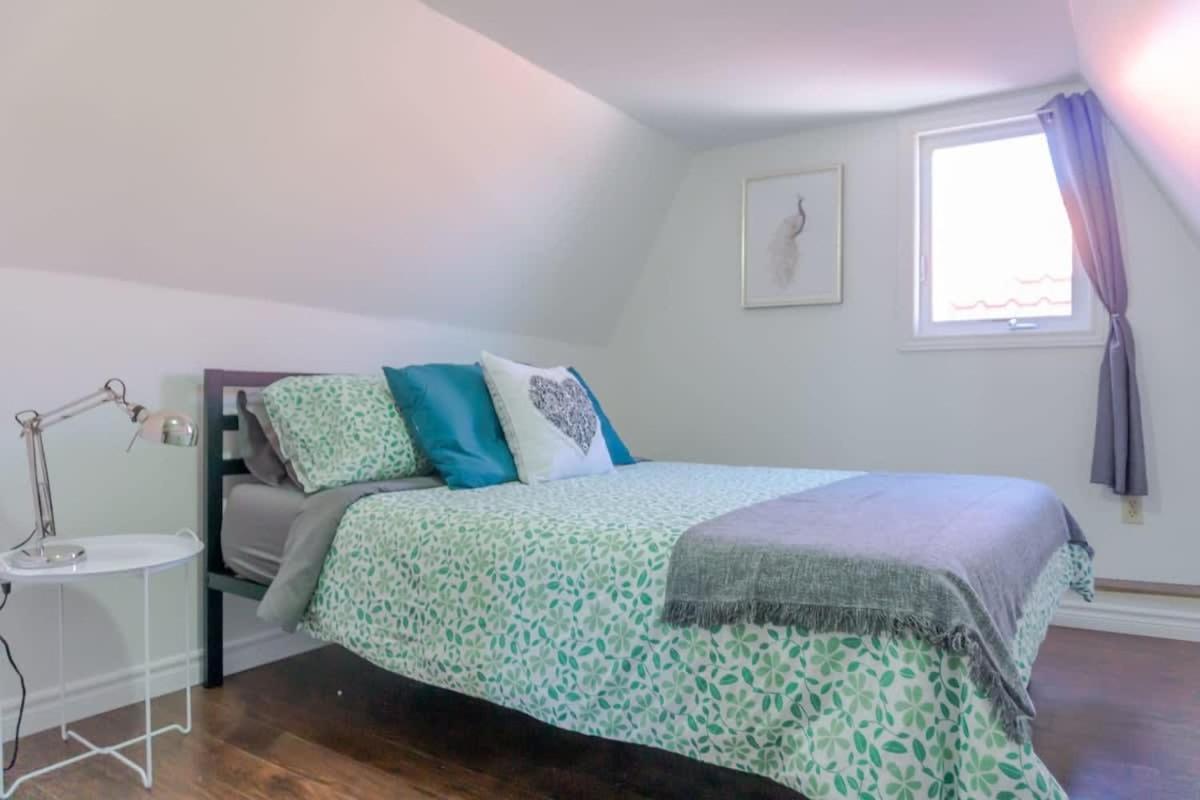 Amazing Location In Saint John 2 Bedroom Modern Parking New Kültér fotó