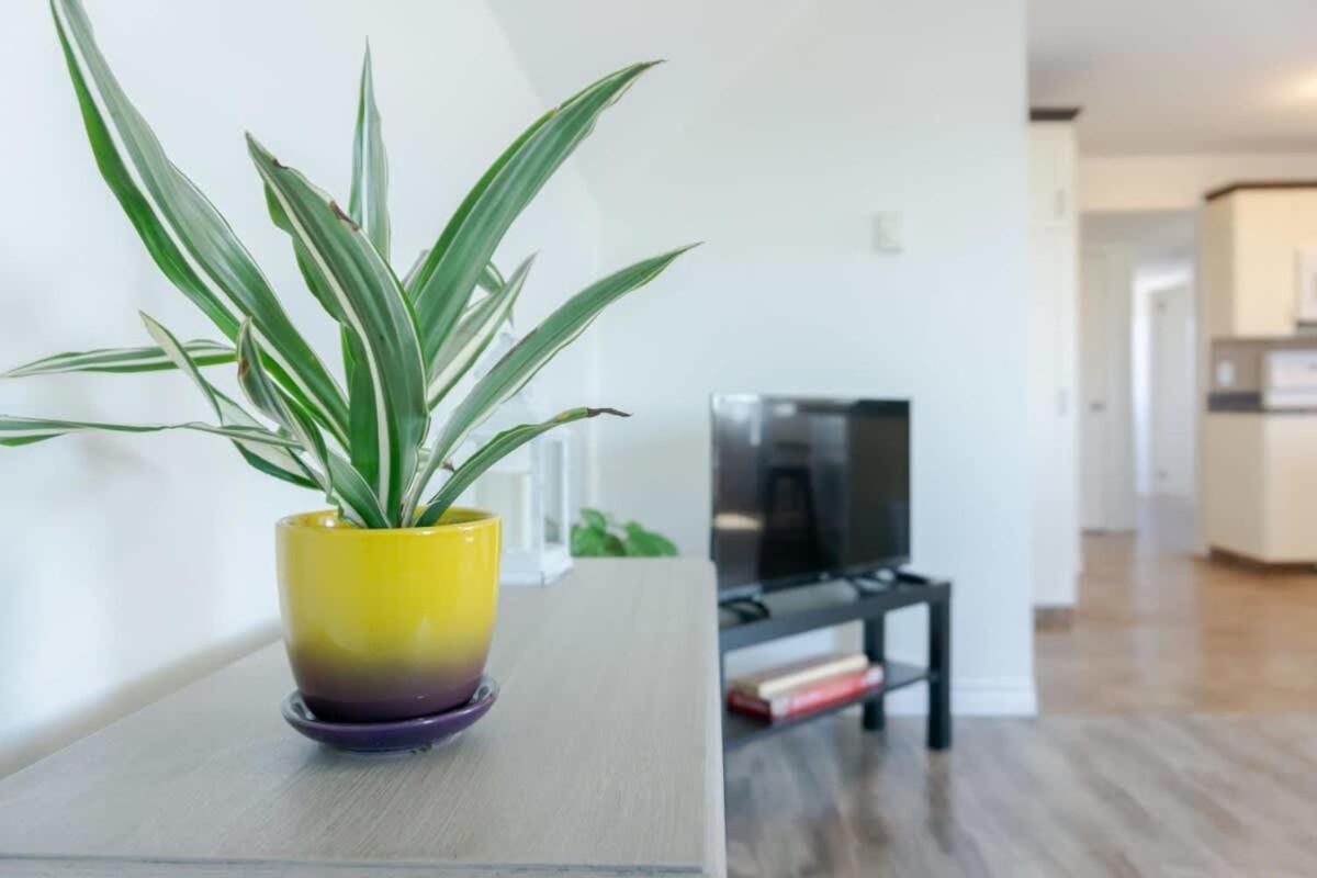 Amazing Location In Saint John 2 Bedroom Modern Parking New Kültér fotó