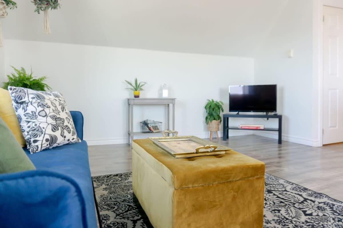 Amazing Location In Saint John 2 Bedroom Modern Parking New Kültér fotó