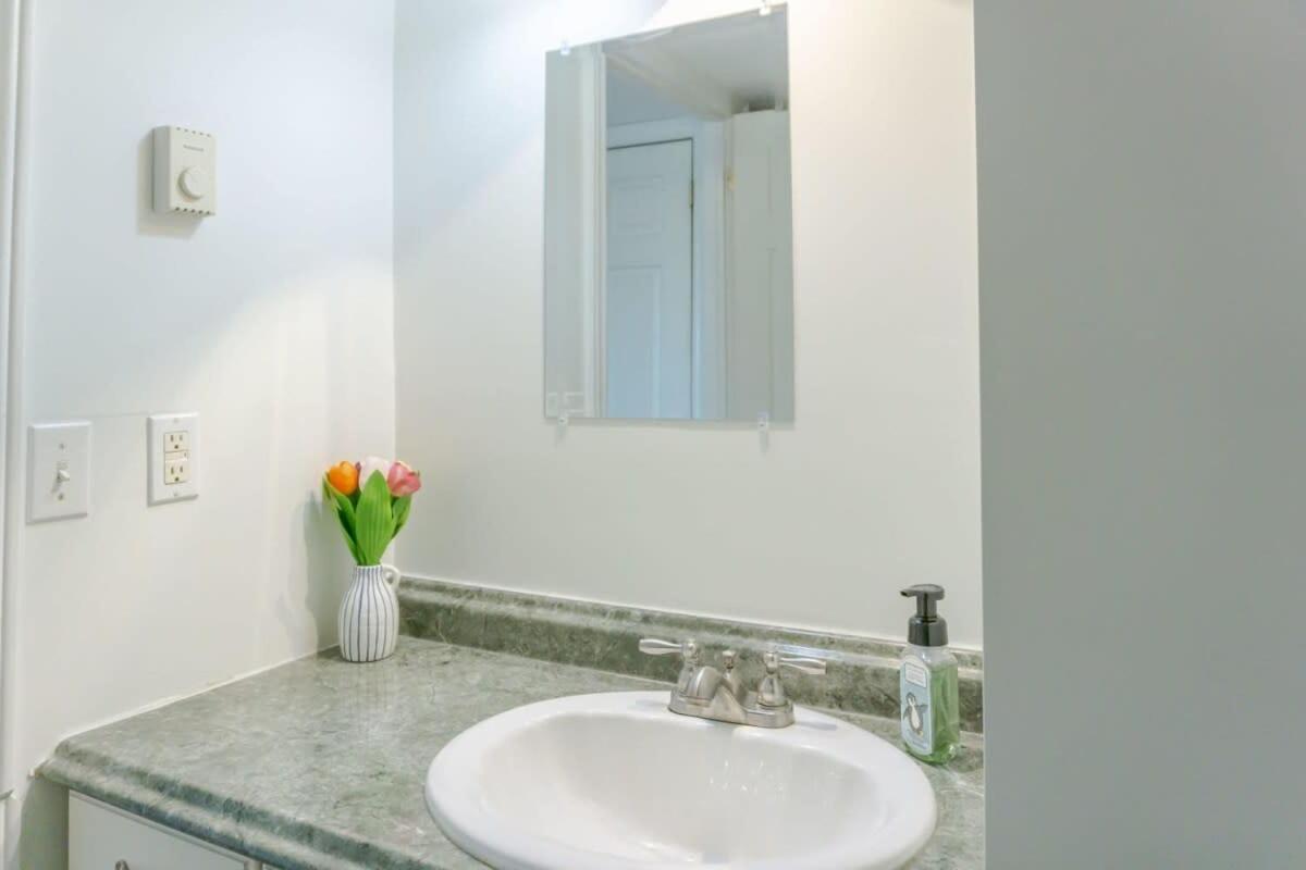 Amazing Location In Saint John 2 Bedroom Modern Parking New Kültér fotó